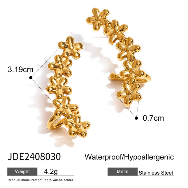 Fancy Earrings