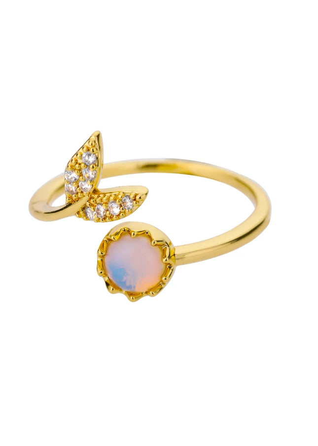 Leonardo Ring
