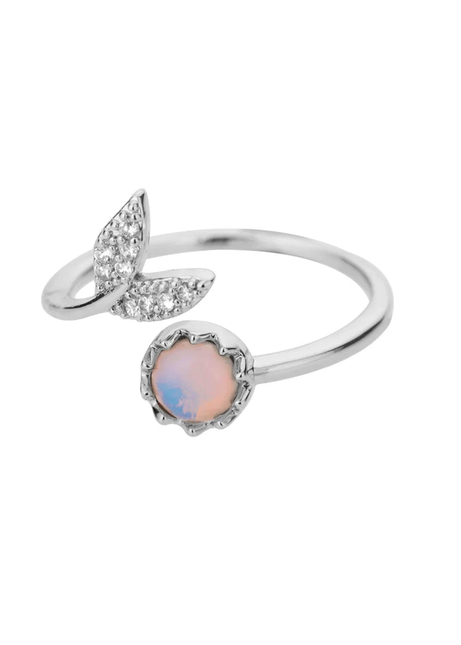 Leonardo Ring