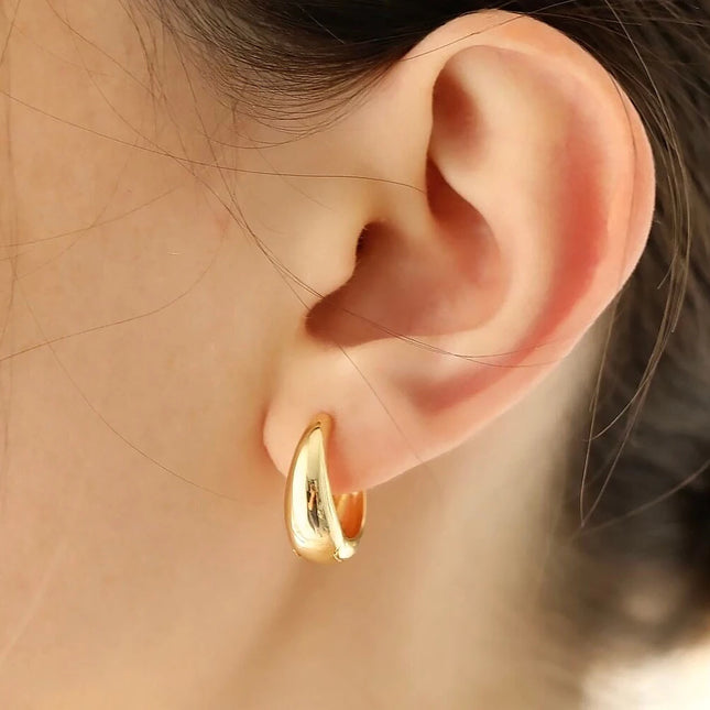 Wintle Earrings