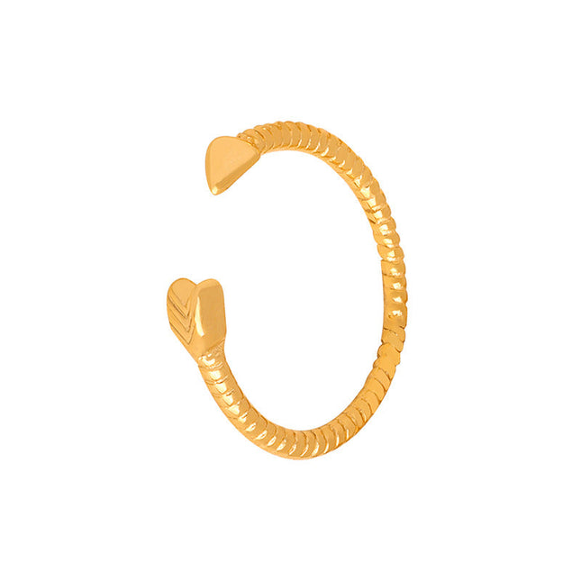Alessandro Ring
