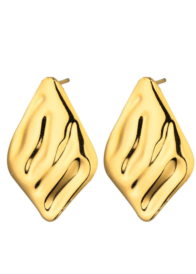 Biezen Earrings