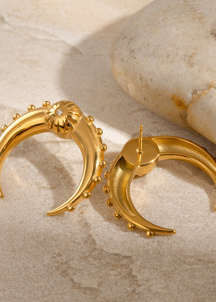 Jieding Europe and America 18k stainless steel double c earrings luxury niche earrings titanium steel earrings cross-border earrings