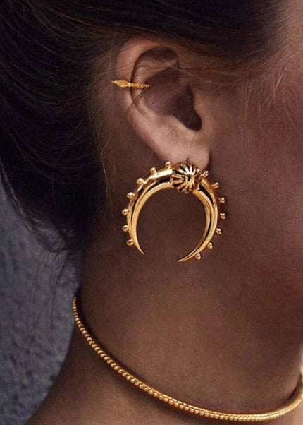 Jieding Europe and America 18k stainless steel double c earrings luxury niche earrings titanium steel earrings cross-border earrings