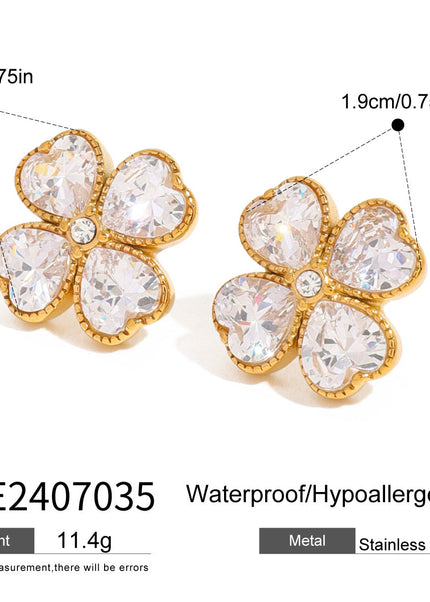Fancy Earrings