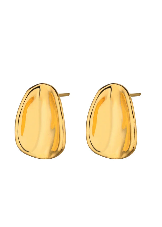 Harvey Earrings