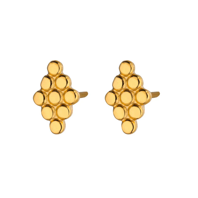 Leo Earrings