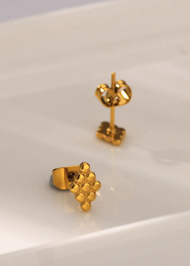 Leo Earrings