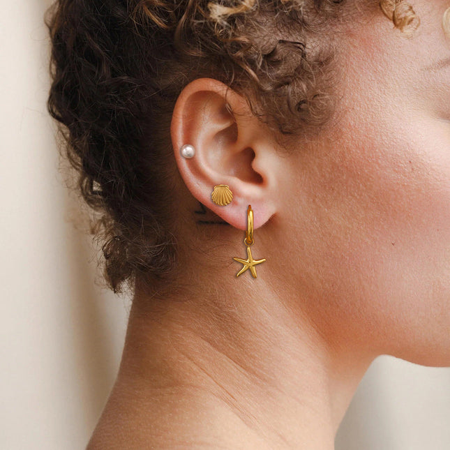 Jieding European and American cross-border earrings, stainless steel starfish earrings, pearl earrings, shell earrings, titanium steel earrings