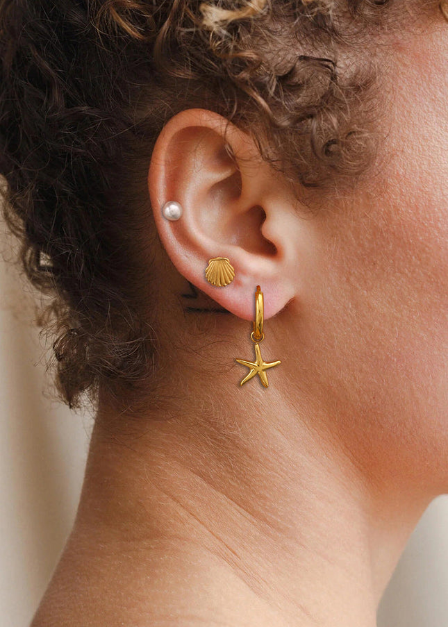 Jieding European and American cross-border earrings, stainless steel starfish earrings, pearl earrings, shell earrings, titanium steel earrings