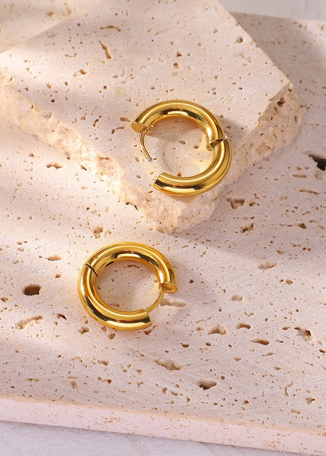 European and American INS Internet celebrities with the same style earrings 4mm thick inner diameter 12mm classic stainless steel hoop earrings women's jewelry