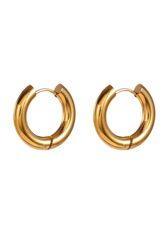 European and American INS Internet celebrities with the same style earrings 4mm thick inner diameter 12mm classic stainless steel hoop earrings women's jewelry