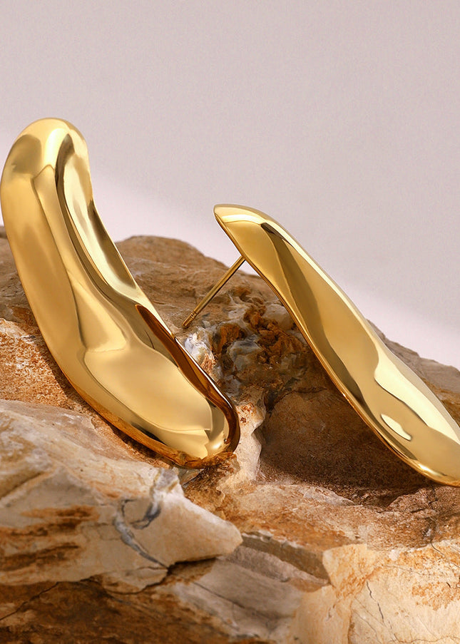 Jieding Europe and America 18k stainless steel exaggerated earrings premium sense ins earrings titanium steel earrings cross-border earrings