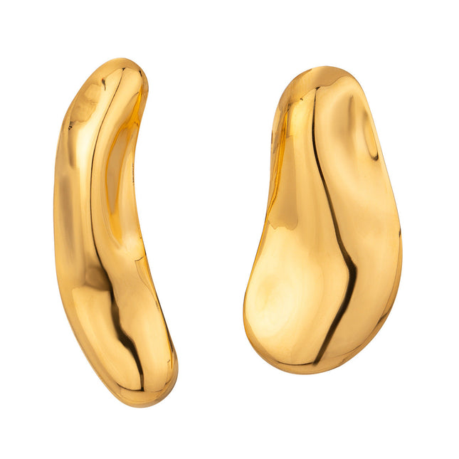 Jieding Europe and America 18k stainless steel exaggerated earrings premium sense ins earrings titanium steel earrings cross-border earrings