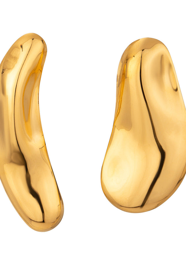 Jieding Europe and America 18k stainless steel exaggerated earrings premium sense ins earrings titanium steel earrings cross-border earrings