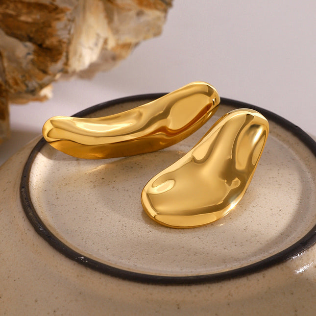 Jieding Europe and America 18k stainless steel exaggerated earrings premium sense ins earrings titanium steel earrings cross-border earrings