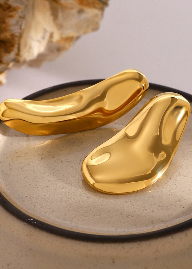 Jieding Europe and America 18k stainless steel exaggerated earrings premium sense ins earrings titanium steel earrings cross-border earrings