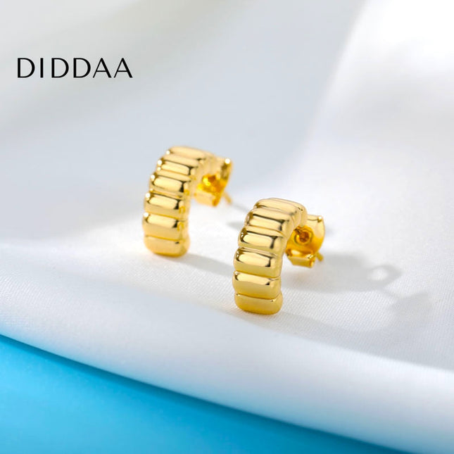 Saraid Earrings | Gold Rugged Stud Earrings - Earrings