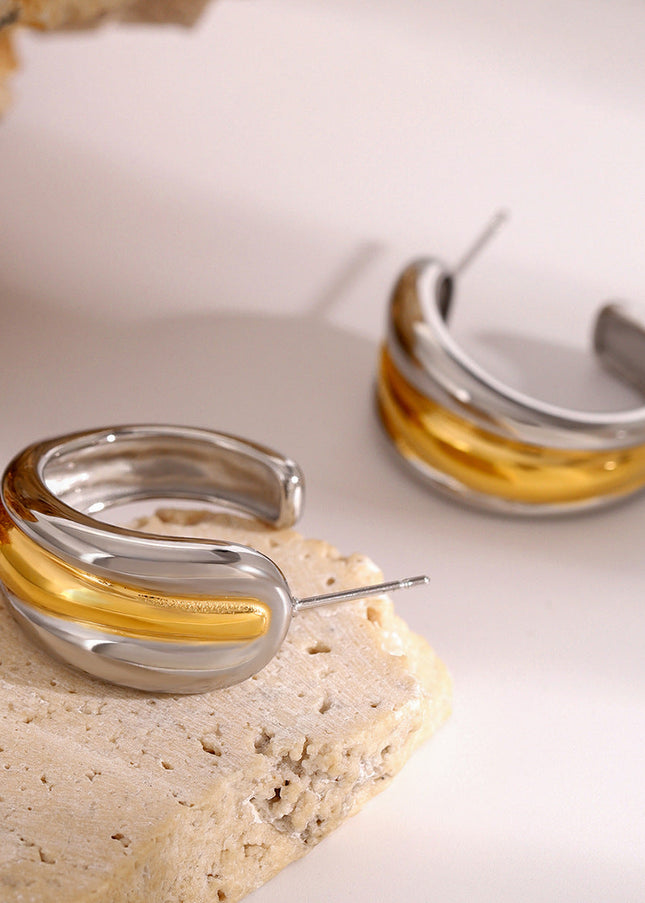 Jieding European and American stainless steel color-blocked double C earrings high-end niche earrings titanium steel earrings cross-border earrings