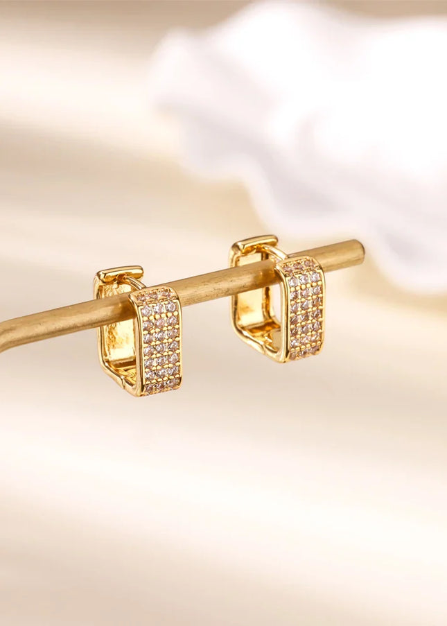 Stern Earrings