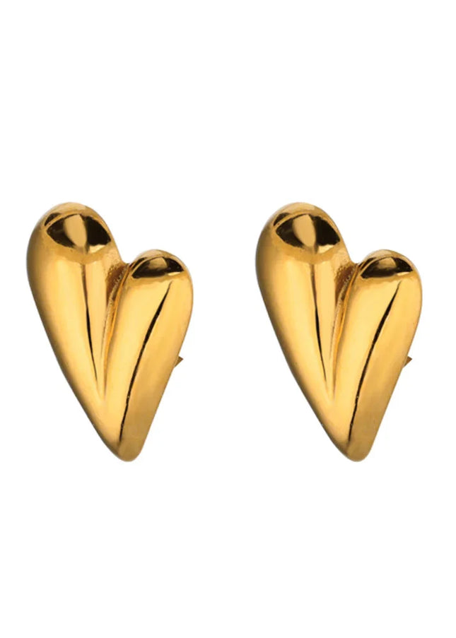 Took Earrings