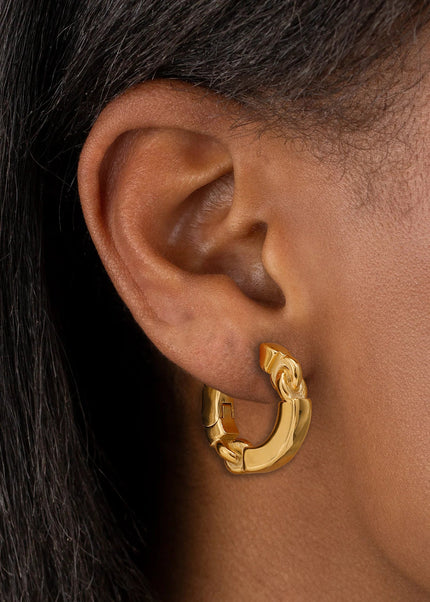 Jieding European and American stainless steel gold hoop earrings luxury niche earrings titanium steel earrings cross-border earrings