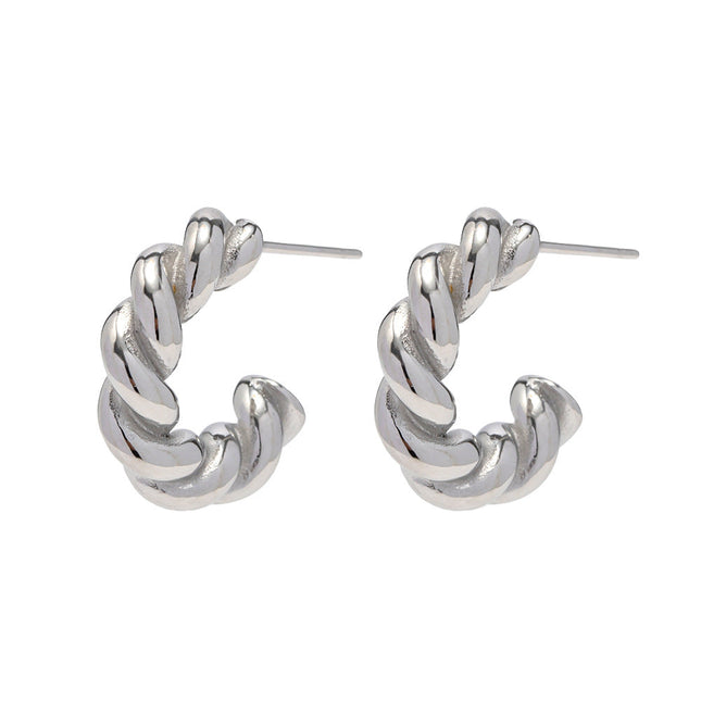 European and American ins cross-border hot steel color ladies twist spiral spiral hoop earrings stainless steel earrings