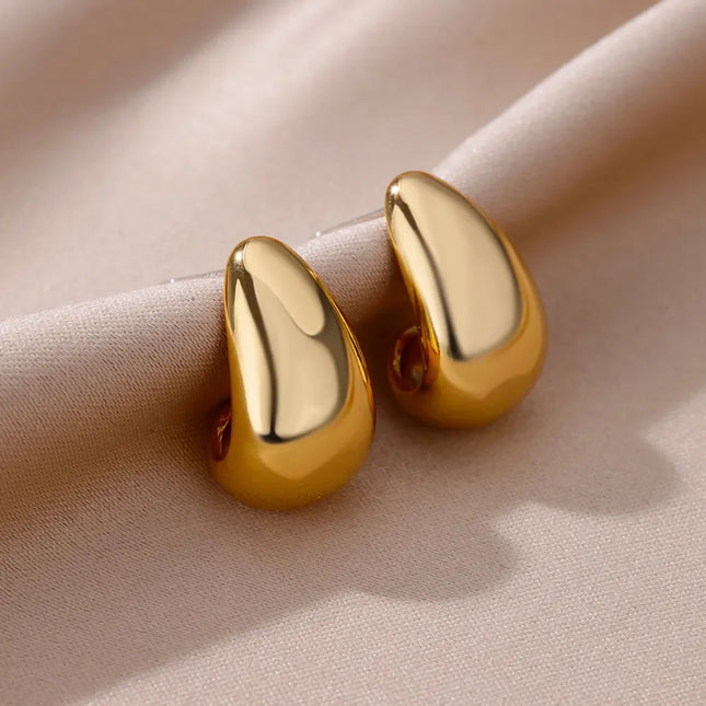 Wintle Earrings