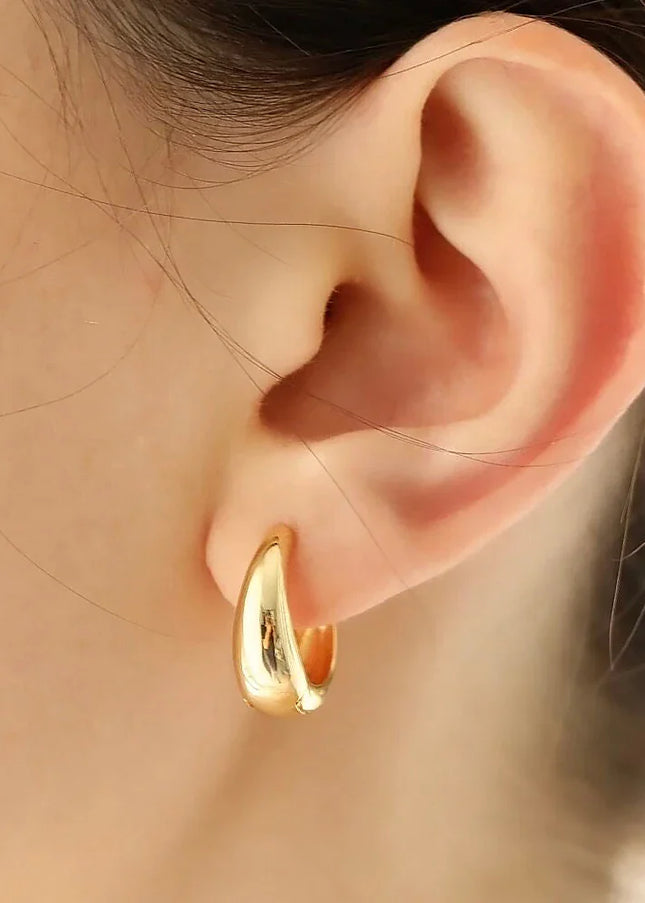 Wintle Earrings