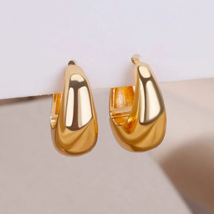 Wintle Earrings