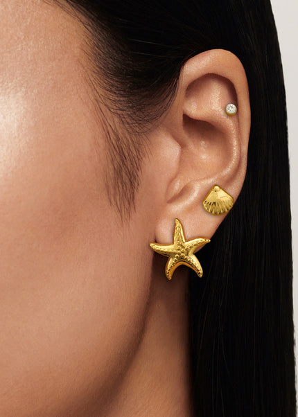 Jieding European and American three pairs of stainless steel starfish earrings high-quality shell earrings titanium steel earrings cross-border earrings