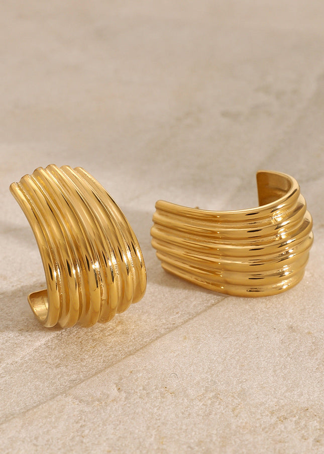 Jieding European and American stainless steel double C earrings exaggerated earrings high-end ins earrings European and American cross-border titanium steel jewelry women