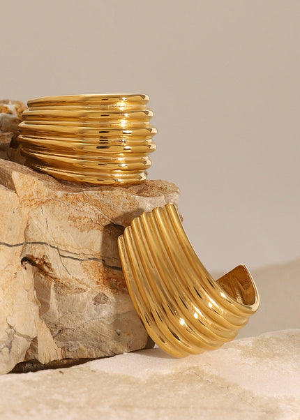 Jieding European and American stainless steel double C earrings exaggerated earrings high-end ins earrings European and American cross-border titanium steel jewelry women