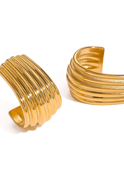 Jieding European and American stainless steel double C earrings exaggerated earrings high-end ins earrings European and American cross-border titanium steel jewelry women